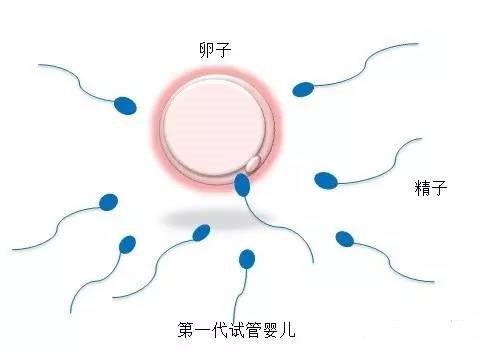 遗传咨询专家